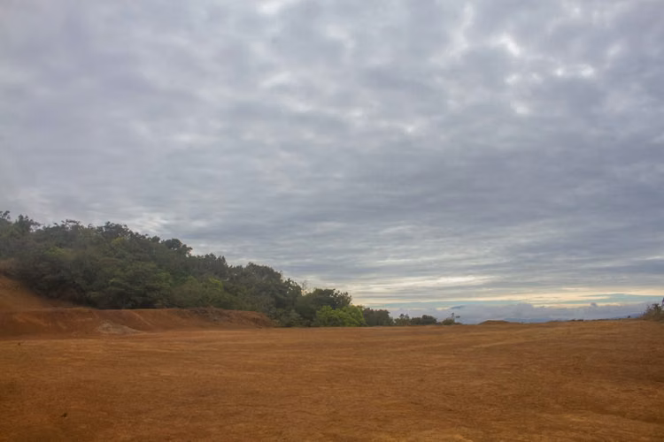 Propiedad para desarrollo en Piedades Sur de San Ramón, Alajuela - Imagen 8