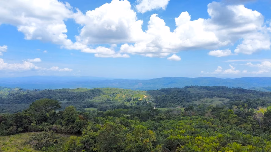 Finca de 165 ha en el Sur de Costa Rica con Alto Potencial de Valorización y Eco-Desarrollo