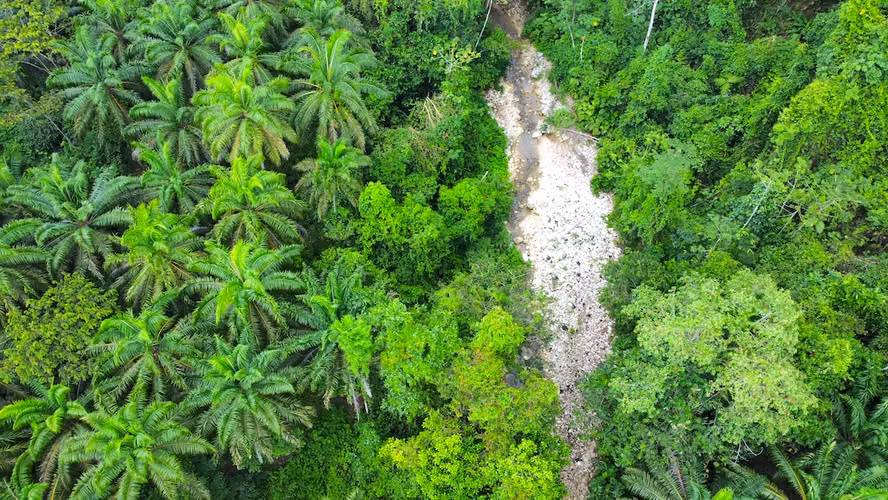 Strategic Land for Sustainable Development with High Appreciation and Development Potential