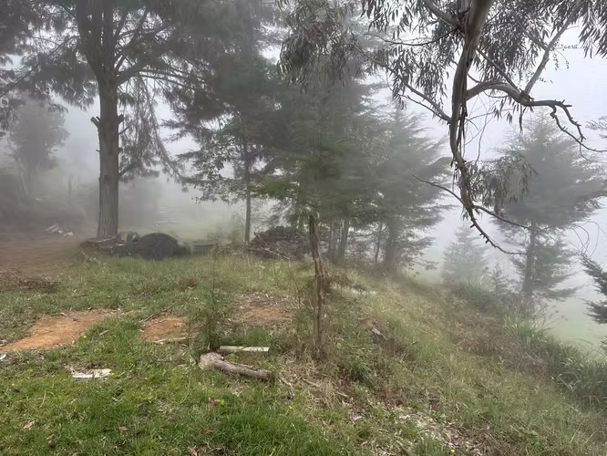 Casa tipo Cabaña y terreno Jardin de Dota Se Vende JLBR