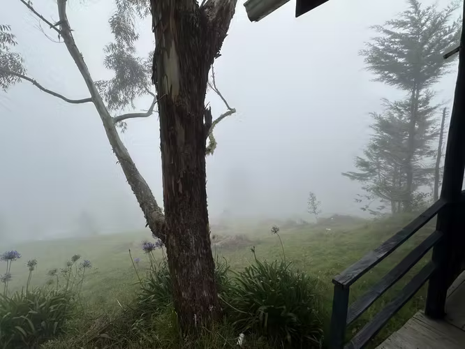 Casa tipo Cabaña y terreno Jardin de Dota Se Vende JLBR