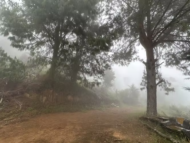 Casa tipo Cabaña y terreno Jardin de Dota Se Vende JLBR