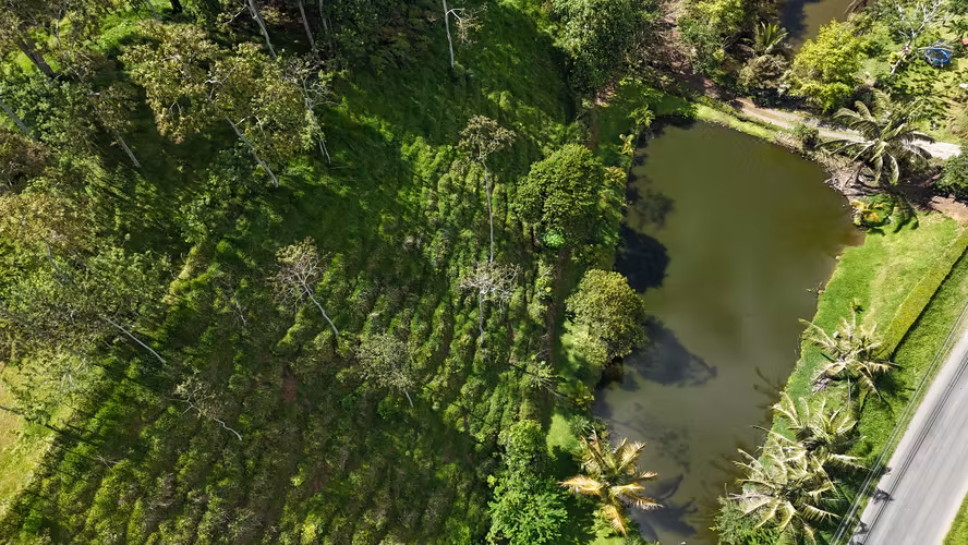  ¡FINCA ESPECTACULAR EN TURRIALBA CON LAGUNA NATURAL Y MIRADOR!  - Imagen 7