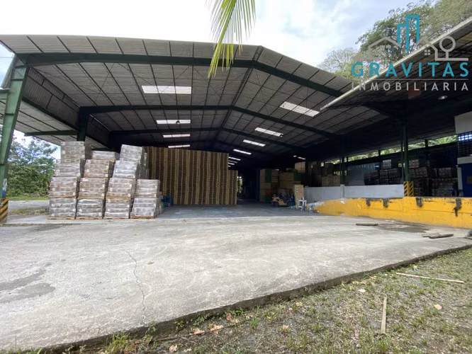 Bodega en venta en Limón, para industria o almacenaje ID 1037