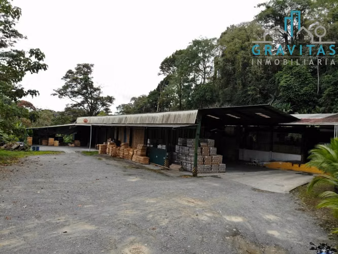 Bodega en venta en Limón, para industria o almacenaje ID 1037
