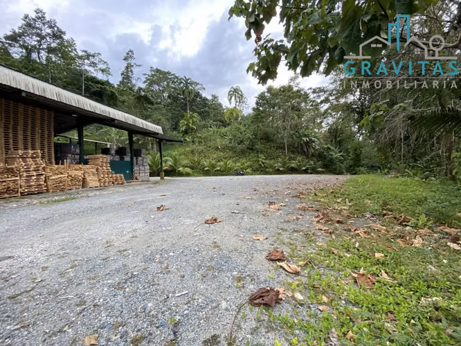 Bodega en venta en Limón, para industria o almacenaje ID 1037