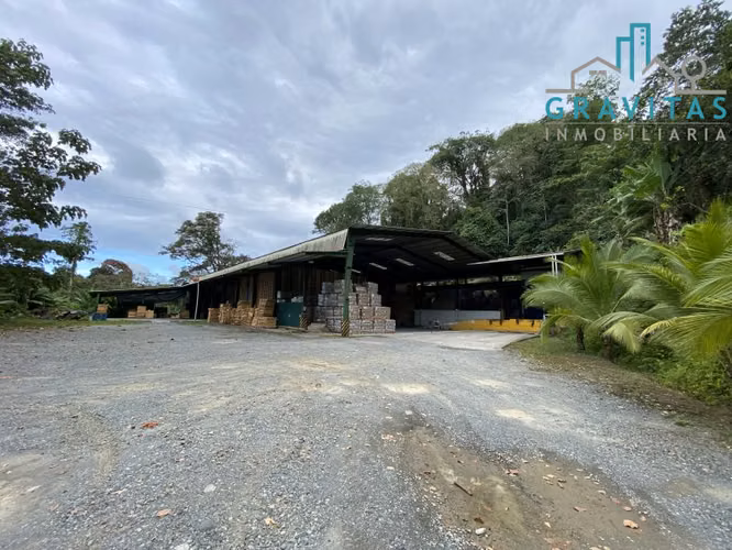 Bodega en venta en Limón, para industria o almacenaje ID 1037