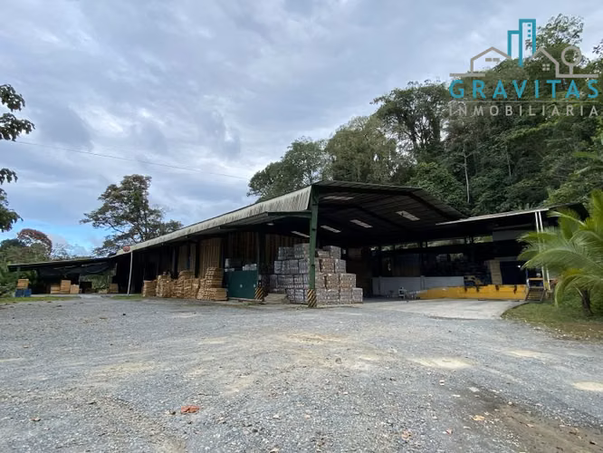 Bodega en venta en Limón, para industria o almacenaje ID 1037