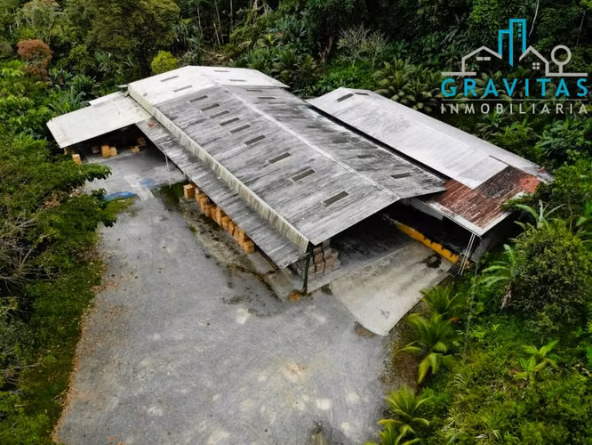 Bodega en venta en Limón, para industria o almacenaje ID 1037