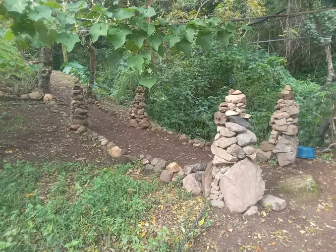 Terreno ganga  d más 1 hectare  con colinas, árboles y manantiales, amplio frente - Imagen 6