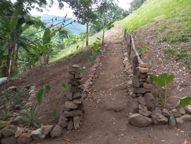 Terreno ganga  d más 1 hectare  con colinas, árboles y manantiales, amplio frente - Imagen 11