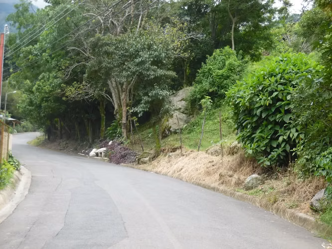 Terreno ganga  d más 1 hectare  con colinas, árboles y manantiales, amplio frente - Imagen 3