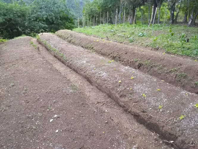 Terreno ganga  d más 1 hectare  con colinas, árboles y manantiales, amplio frente - Imagen 10