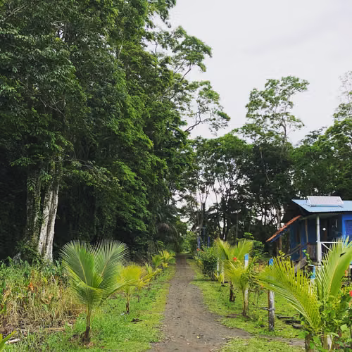 Off-grid (solar + well water) 66,866 m² lot | 16.52 acres | 6.6866 ha | Barra de Pacuare, Costa Rica - Imagen 13