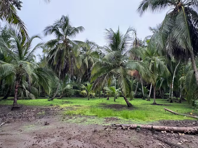 Off-grid (solar + well water) 66,866 m² lot | 16.52 acres | 6.6866 ha | Barra de Pacuare, Costa Rica - Imagen 12