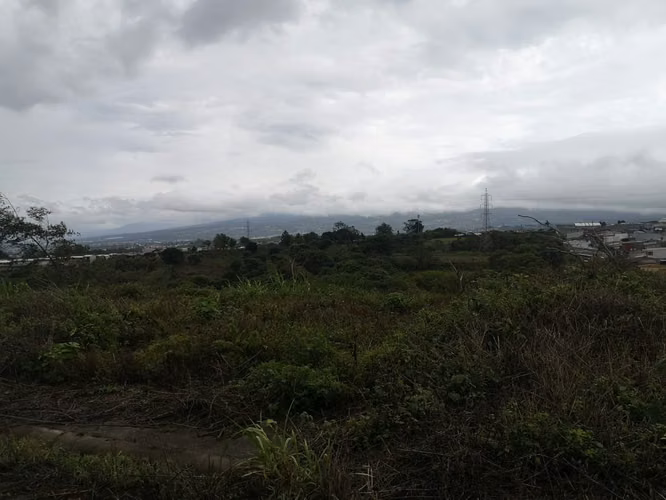 Terreno en Mata de Plátano, El Carmen de Guadalupe, San José - Imagen 7