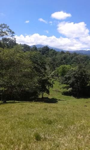 Finca 70 Hectáreas a 10 minutos mejores playas del Caribe, Limón