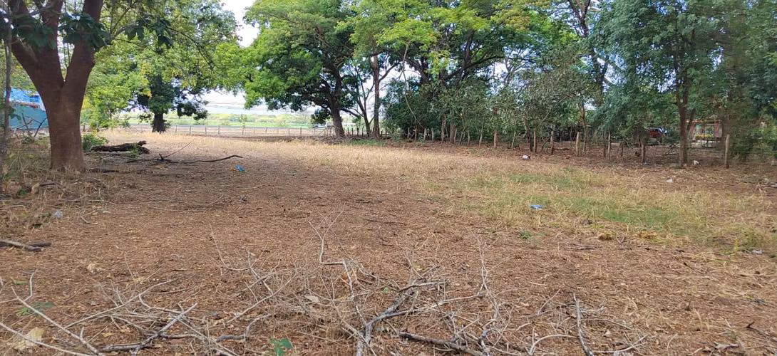 Venta de Terreno en Filadelfia, Guanacaste