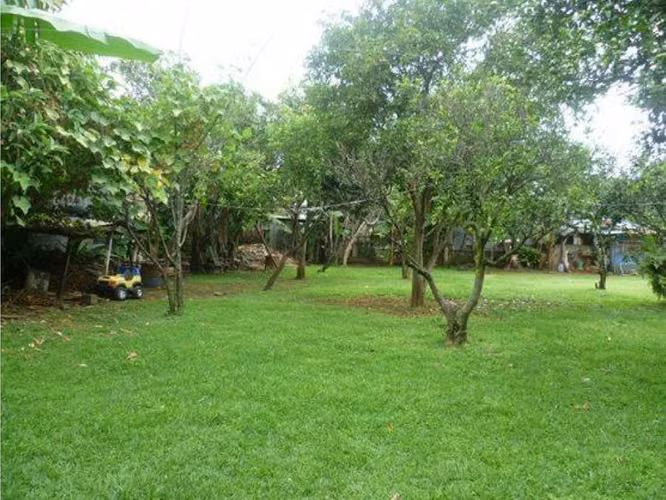 Venta propiedad comercial San Pablo Heredia, sobre calle principal
