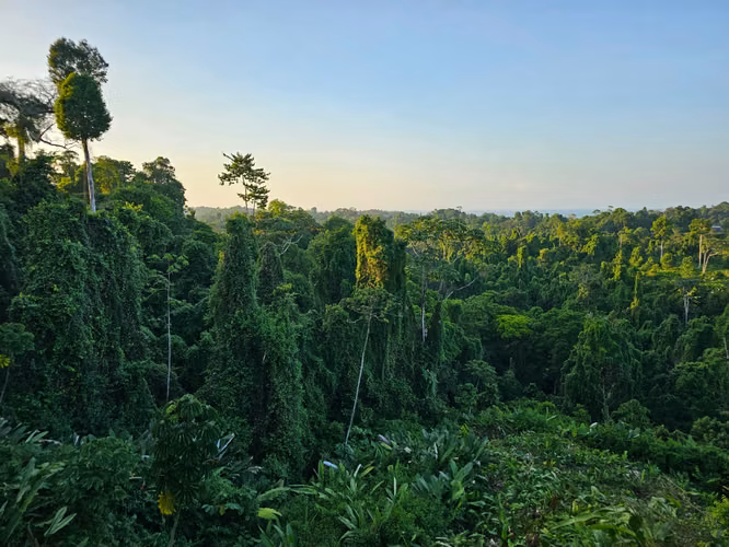 Propiedad de Eco-Lodge– The Jungle Getaway
