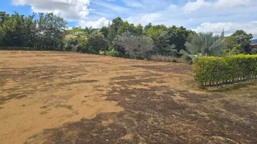 Venta Terreno para Desarrollo La Bonita Peréz Zelefón, San Josè