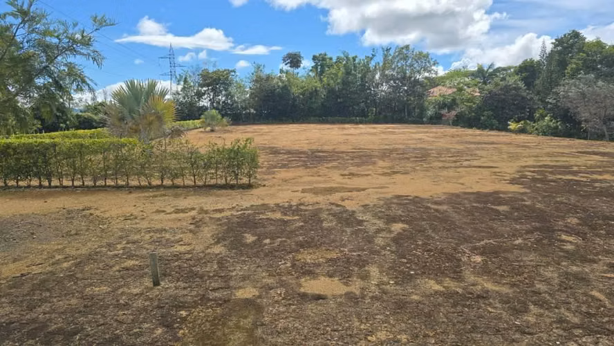 Venta Terreno para Desarrollo La Bonita Peréz Zelefón, San Josè