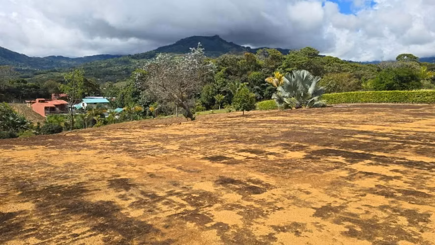 Venta Terreno para Desarrollo La Bonita Peréz Zelefón, San Josè