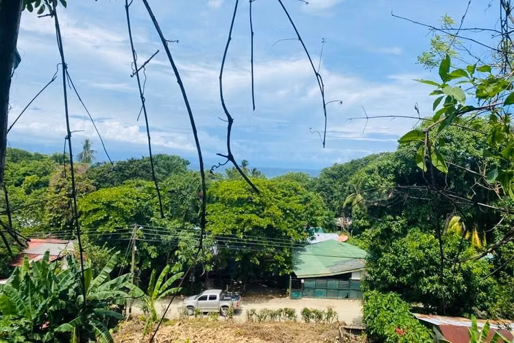 Lote con vista al mar, Playa Ostional - Imagen 2