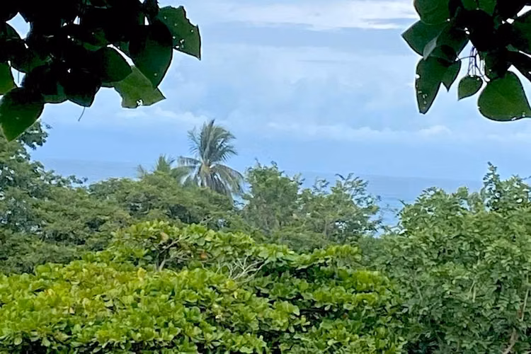 Lote con vista al mar, Playa Ostional - Imagen 6