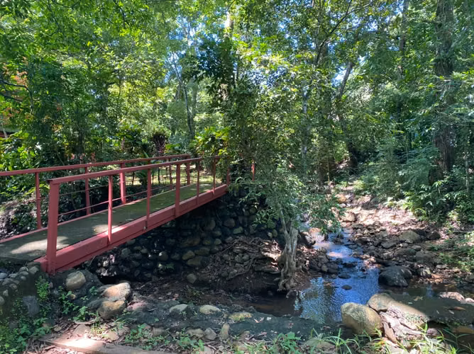 Finca de Recreo en San Mateo, Alajuela - Imagen 7