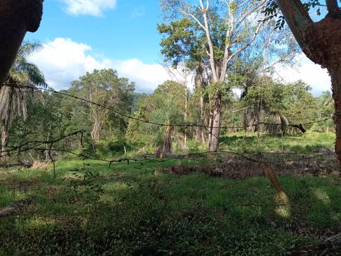 Finca de 10 Hectáreas en Guacimal, Puntarenas