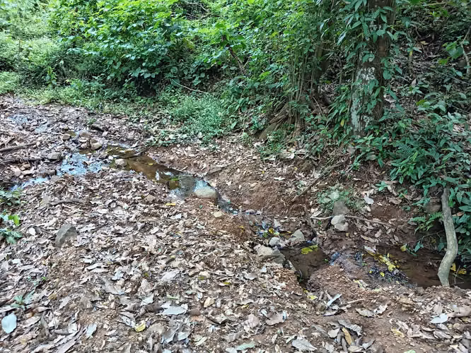 Finca de 10 Hectáreas en Guacimal, Puntarenas