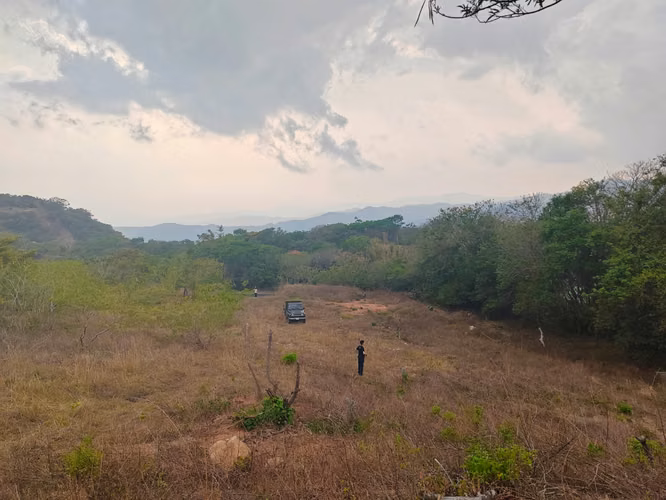 Lotes en Monteverde, Puntarenas