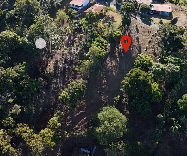 GRAN LOTE EN VENTA - CALLE A SABANILLAS - SARCHÍ