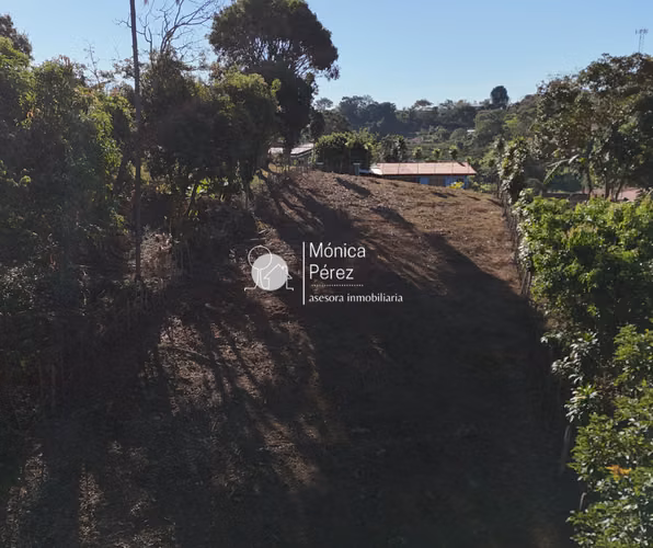 GRAN LOTE EN VENTA - CALLE A SABANILLAS - SARCHÍ