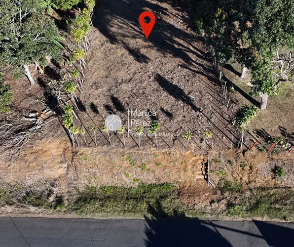 GRAN LOTE EN VENTA - CALLE A SABANILLAS - SARCHÍ