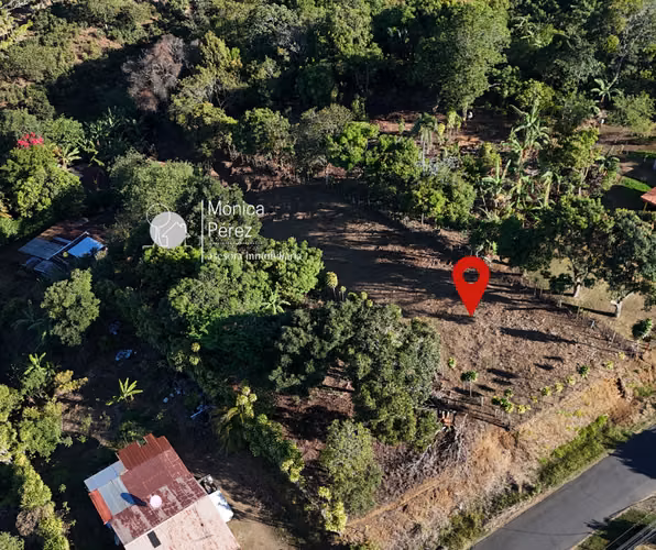 GRAN LOTE EN VENTA - CALLE A SABANILLAS - SARCHÍ