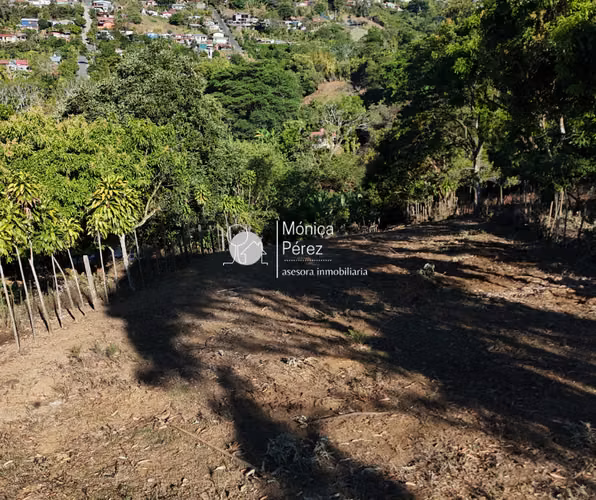 GRAN LOTE EN VENTA - CALLE A SABANILLAS - SARCHÍ