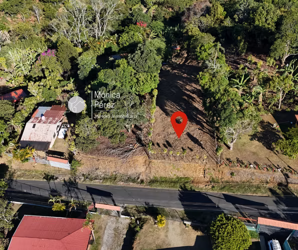 GRAN LOTE EN VENTA - CALLE A SABANILLAS - SARCHÍ