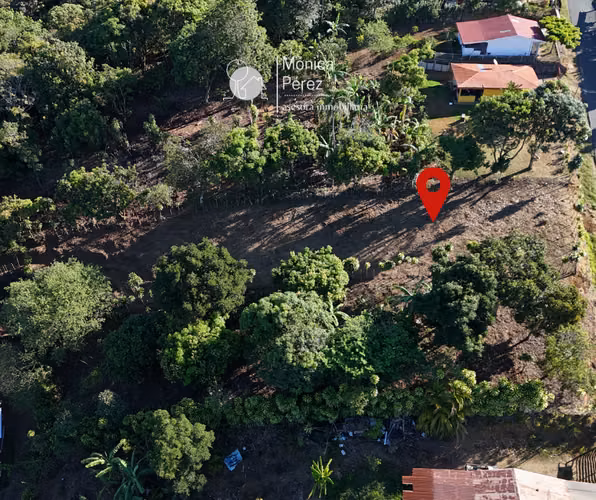 GRAN LOTE EN VENTA - CALLE A SABANILLAS - SARCHÍ