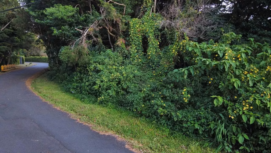 Lot for Sale in San Rafael de Heredia, Residencial El Castillo
