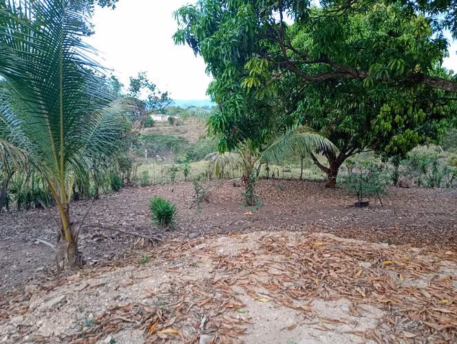 Finca con Casa y Rancho cerca del Pacifico, Coyolar, Orotina, Alajuela - Imagen 9