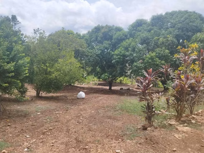 Finca con Casa y Rancho cerca del Pacifico, Coyolar, Orotina, Alajuela - Imagen 18
