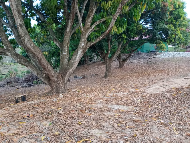 Finca con Casa y Rancho cerca del Pacifico, Coyolar, Orotina, Alajuela - Imagen 19