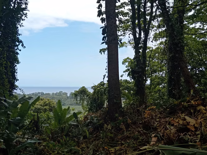 Terreno con vista al mar en Hone Creek, Cahuita, Limón - Imagen 7