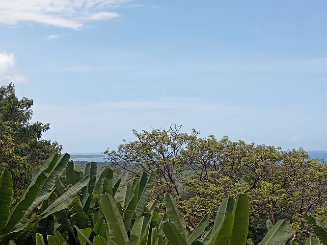 Terreno con vista al mar en Hone Creek, Cahuita, Limón - Imagen 12