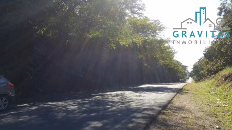 Lote en venta en Guanacaste (38500 m2) ID 1348