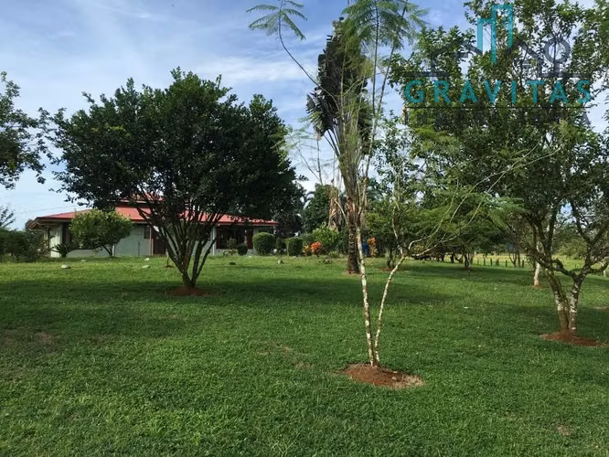 Finca ganadera en venta en Guácimo, Limón | 82 Hect ID 211