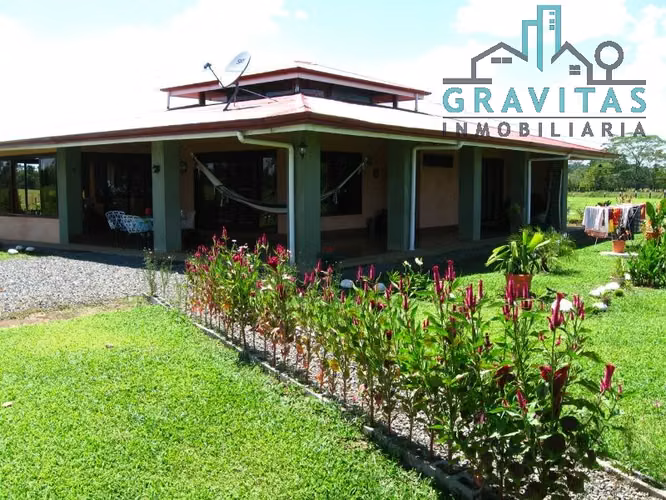 Finca ganadera en venta en Guácimo, Limón | 82 Hect ID 211