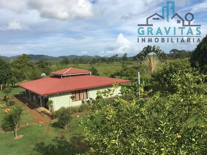 Finca ganadera en venta en Guácimo, Limón | 82 Hect ID 211